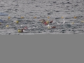 Ironman 70.3
